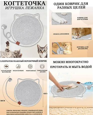 ит аты: Продаю новые лежанки для кошек и собак,а так же — 4