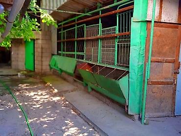 Продажа коттеджей и домов: Срочно продаются два дома на одном участке! Большой и маленький дома — 10