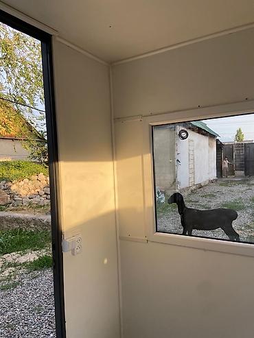 Другой готовый бизнес: Бутка для охраны at lalafo.kg — 6 Другой готовый бизнес: Бутка для охраны — 6