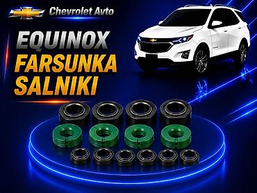 salnik: Chevrolet Equinox — 1