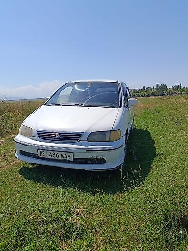 масло авто: Honda Odyssey: 1998 г., 2.3 л, Бензин, Минивэн — 1