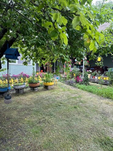 Günlük kirayə evlər: 180 kv. m, 2 otaqlı, Qaz, Su, İnternet -da lalafo.az — 7 Günlük kirayə evlər: 180 kv. m, 2 otaqlı, Qaz, Su, İnternet — 7