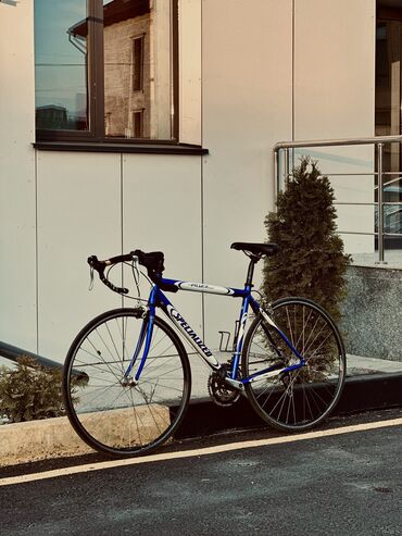 Шоссейные велосипеды: Шоссейный велосипед, Specialized, Рама L (172 - 185 см), Новый