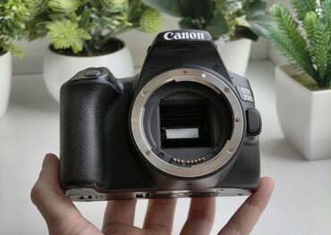 nikon d700 купить: Продаю фотоаппарат Canon EOS 250d B идеальном состоянии.Готов к любым