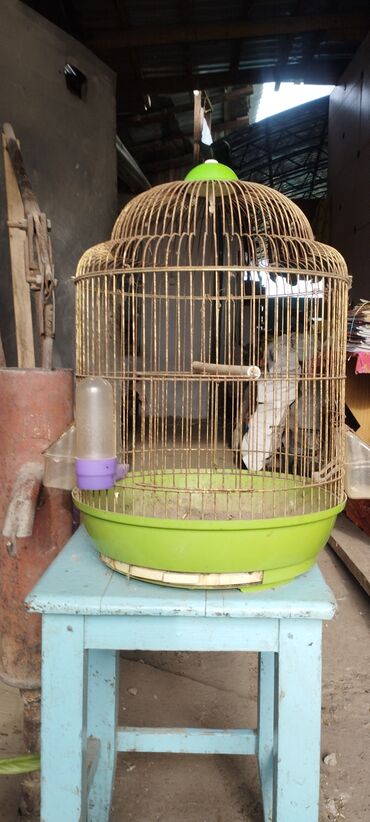 Птицы: Продаю клетку для попугаев