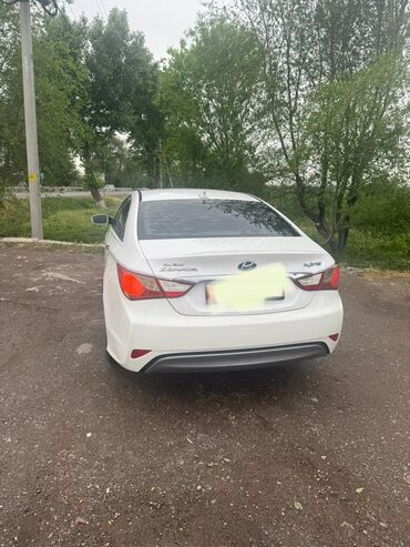 hyundai accent авто: Автомобиль Hyundai Sonata Hybrid белого цвета. Этот седан имеет
