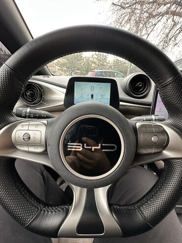 BYD: BYD Dolphin: 2023 г., Автомат, Электромобиль, Хэтчбэк — 8