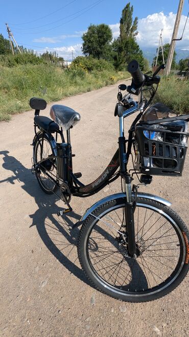 детская велик: Электрический велосипед, Рама L (172 - 185 см), Сталь, Новый