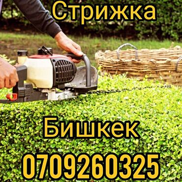 ремонт газонокосилка: Кусторез стрижка Бишкек услуги 

газонокосилка
