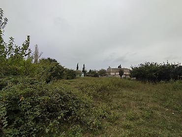goycayda torpaq satilir: Kənd təsərrüfatı, Mülkiyyətçi, Kupça (Çıxarış) — 6