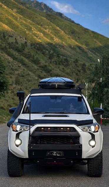off roud: Toyota 4Runner: 2019 г., 4 л, Автомат, Газ, Внедорожник — 5