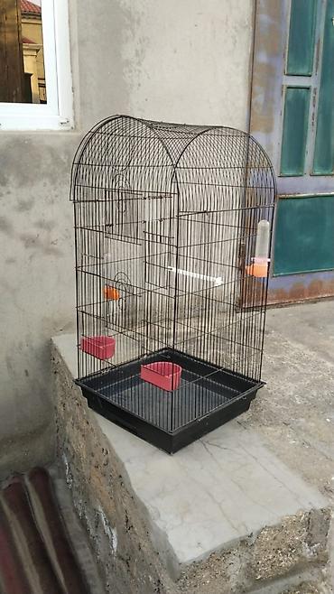 Qəfəslər: Hazir cut korella qefes qarisiq yuvasi altinda yumurtasi — 9