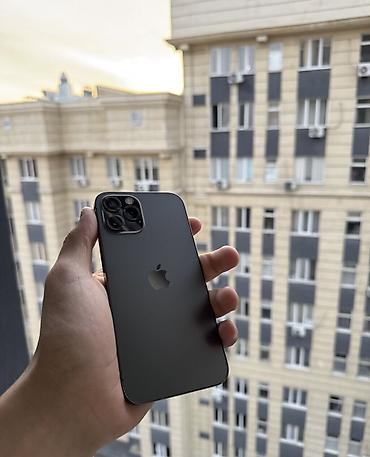 iphone 12 green: IPhone 12 Pro, Б/у, 256 ГБ, Space Gray, 100 % — 1