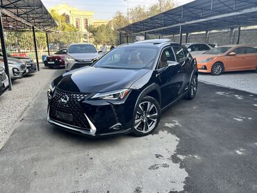 рычак на фит: Lexus : 2019 г., 2 л, Автомат, Гибрид, Кроссовер