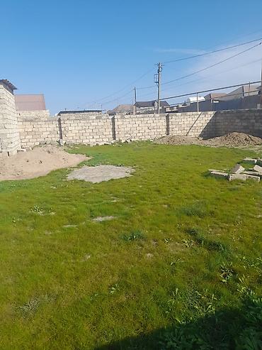 Torpaq sahələrinin satışı: 35 sot, Kənd təsərrüfatı, Mülkiyyətçi, Kupça (Çıxarış) — 2