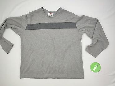 bluzy vintage: Bluza dla mężczyzn, rozmiar 2XL — 2