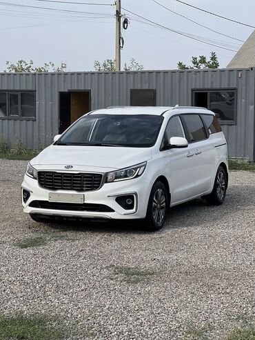 купить авто с кореи бу: Kia Carnival: 2019 г., 2.2 л, Автоматические, Дизель, Минивэн
