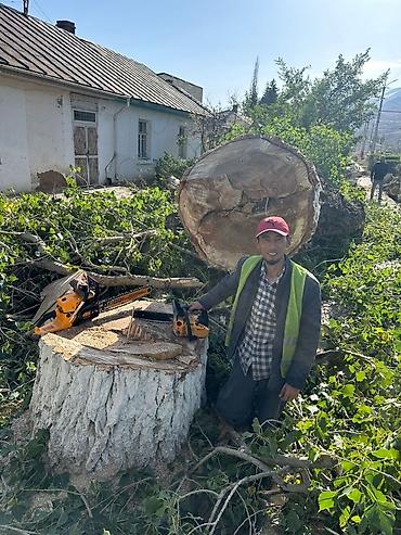 дравы: Бак отун дарак Терек дуп топал Драва ж/б и/д кыйабыз кесебиз жыгабыз — 6