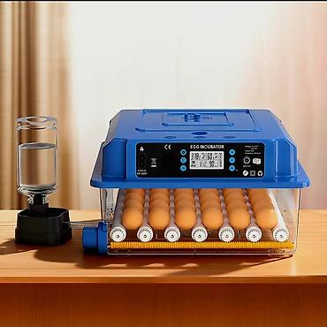 Зоотовары: Tam avtomatik inkubator / su və yem qabı daxil./Göy-1əd.yaşıl 1əd — 2