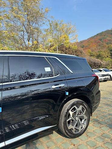 Hyundai: Hyundai Palisade: 2020 г., 2.2 л, Дизель, Кроссовер — 7