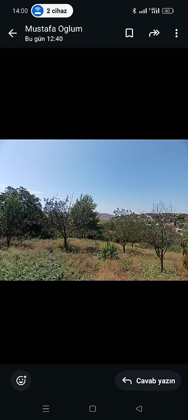 bakıxanov qesebesi: Şamaxı, 110 kv. m, 3 otaqlı, Hovuzsuz, Telefon, Qaz, Su — 6