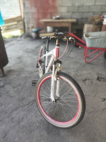 cruzer велосипед производитель: Не работют 2 тормоза,сломан подшибник на заднем колесе,не работает