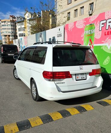 резина одиссей: Honda Odyssey: 2008 г., 3.5 л, Автомат, Бензин, Минивэн