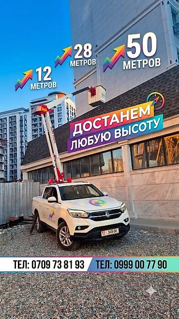 флагшток на авто: Стрела 12 м, 250 т — 1