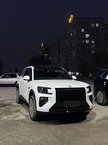 byd dolphin 2023: Zeekr 8X: 2 л | 2026 г. Кроссовер — 1
