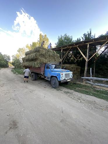 ГАЗ: ГАЗ : 1992 г., 4.3 л, Механика, Бензин, Пикап — 10