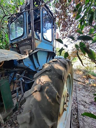 235 55 18: Traktor Belarus (MTZ) T 28, 1986 il, 500 at gücü, motor 8 l, İşlənmiş — 10