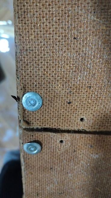 Дезинфекция, дезинсекция: Дезинфекция, дезинсекция, | Клопы, Блохи, Тараканы, | Транспорт, Офисы, Квартиры at lalafo.kg — 26 Дезинфекция, дезинсекция: Дезинфекция, дезинсекция, | Клопы, Блохи, Тараканы, | Транспорт, Офисы, Квартиры — 26