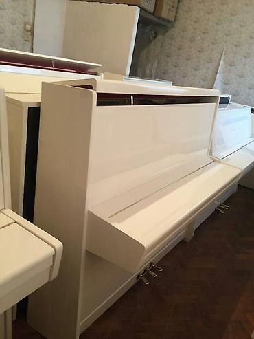 Musiqi alətləri: Pianino PETROF Cexya stehsalı. Ideal vəziyyədə. Cadırılma və köklənmə — 2