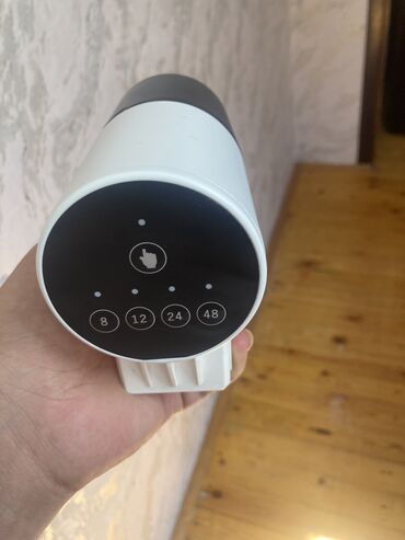 ingilis setteri itinin digər adı: Balıq ucun yem aparatı