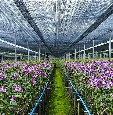 Затеняющие сетки: Затеняющие сетки, Платная доставка — 1