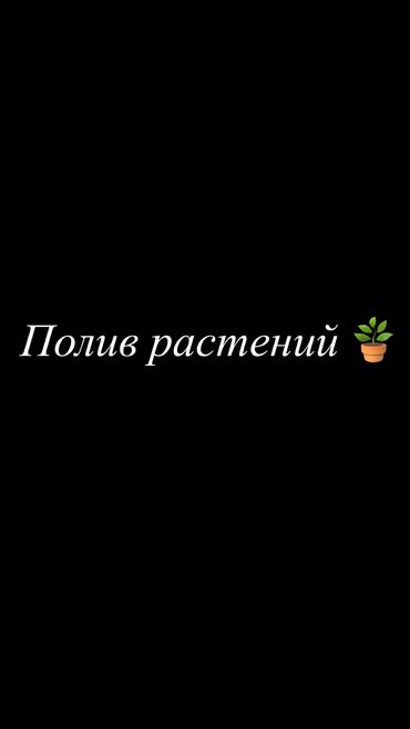 Другие услуги: Здравствуйте! Ищу подработку. Могу быть няней на час: присмотрю за
