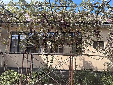 мансард: Продаётся дом с участком, 13.5 соток, облагороженный и полностью — 10