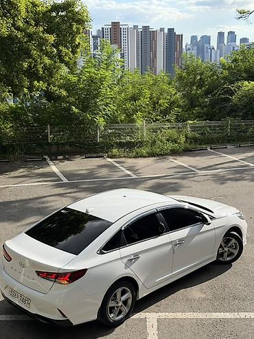 без посредника: Hyundai Sonata: 2022 г., Седан — 6