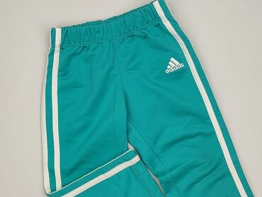 rajstopy w kratke: Sweatpants, Adidas, 1.5-2 years, 92, condition - Very good