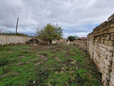 Həyət evləri və villaların satışı: Hasarlı daş hasarlı həyət evi və torpaq sahəsi - Dörd tərəfi hündür — 7