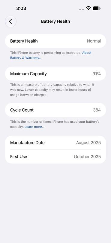 iphone xm: IPhone 17, Б/у, 1 ТБ, Matte Silver, Защитное стекло, Чехол, 91 % — 8
