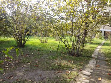 Torpaq sahələrinin satışı: 32 sot, Kənd təsərrüfatı, Mülkiyyətçi, Kupça (Çıxarış) -da lalafo.az — 3 Torpaq sahələrinin satışı: 32 sot, Kənd təsərrüfatı, Mülkiyyətçi, Kupça (Çıxarış) — 3