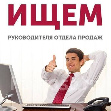 работа в краснодаре: Требуется руководитель отдела продаж в много форматную компанию,на