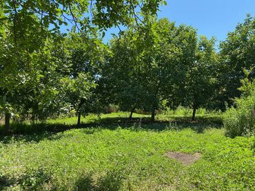 Həyət evləri və villaların satışı: Şemkir şeheri, Elperest Hüseynov küçesi, ev 122 Yeni qaydalarla — 4