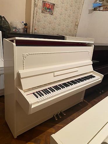 Musiqi alətləri: Piano, Belarus, Akustik, Yeni, Pulsuz çatdırılma — 2
