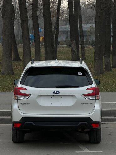 Subaru: Subaru Forester: 2022 г., 2.5 л, Вариатор, Бензин, Кроссовер — 9