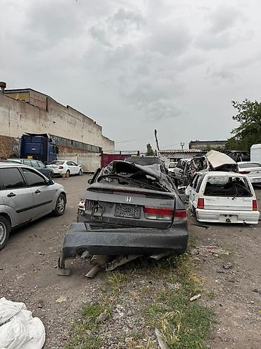 аваринные машины: Разбор Honda Accord VII (седан, дорестайлинг, около 2003–2007 гг.) — 2