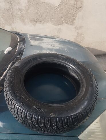 купить шипы для шин: Шины 185 / 65 / R 15, Зимняя шипованная, Б/у, 1 шт, Легковые, Россия, Triangle