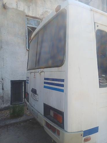 автобус пазик: Автобус, ПАЗ, 2006 г., 4.2 л, до 15 мест — 4