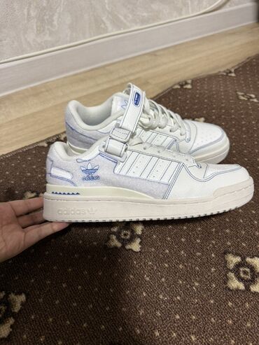 Спорттук бут кийим: Эркектердин кроссовкасы, 39, Adidas, Жаңы, түсү - Ак, Акылуу жеткирүү, Өзү алып кетүү
